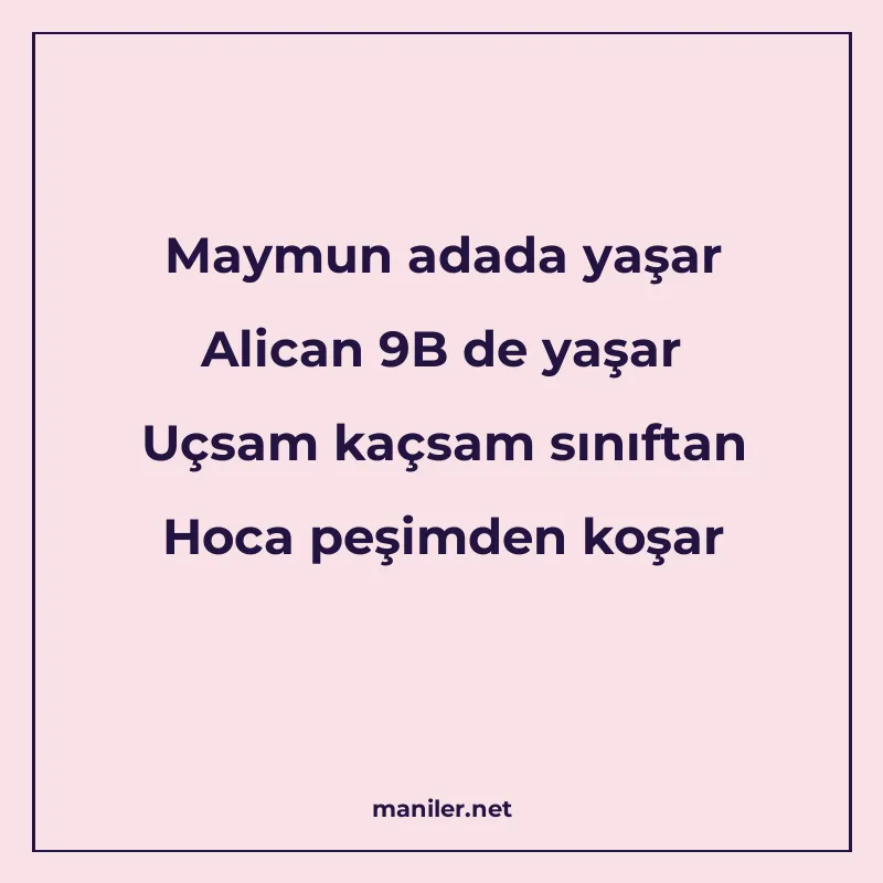 Maymun adada yaşar Alican 9B de yaşar Uçsam kaçsam sınıftan manisi görseli