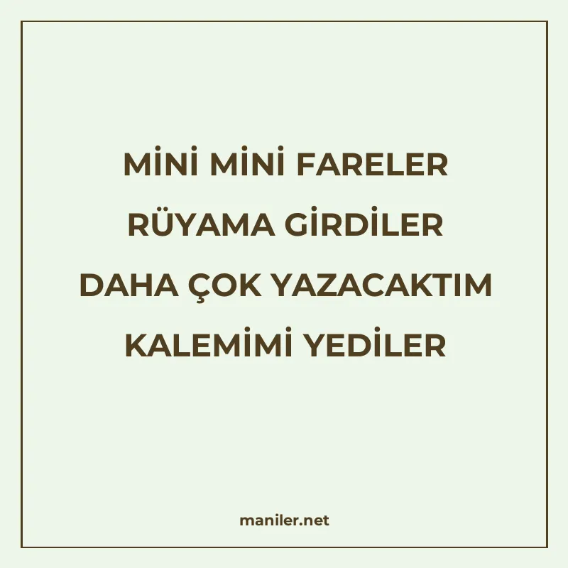 MİNİ MİNİ FARELER RÜYAMA GİRDİLER DAHA ÇOK YAZACAKTIM KALEMİ manisi görseli