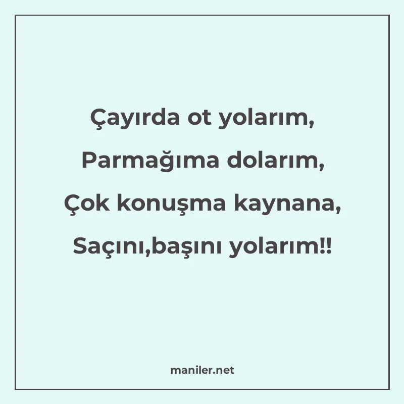 Çayırda ot yolarım, Parmağıma dolarım, Çok konuşma kaynana manisi görseli