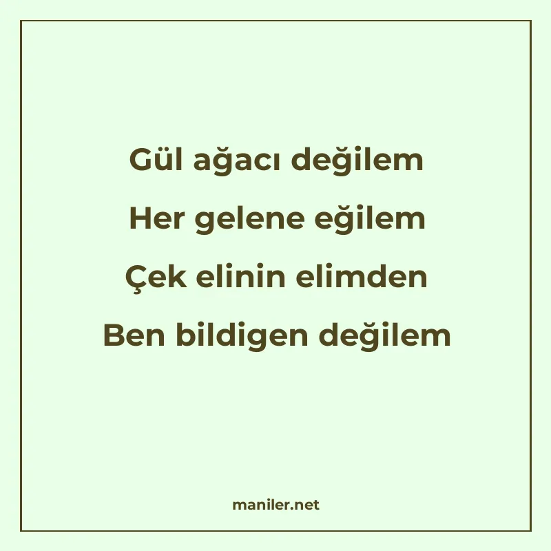 Gül ağacı değilem Her gelene eğilem Çek elinin elimden Ben b manisi görseli