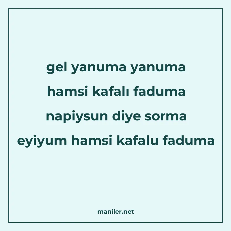 gel yanuma yanuma hamsi kafalı faduma napiysun diye sorma ey manisi görseli