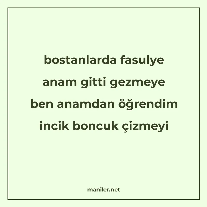 bostanlarda fasulye anam gitti gezmeye ben anamdan öğrendim manisi görseli