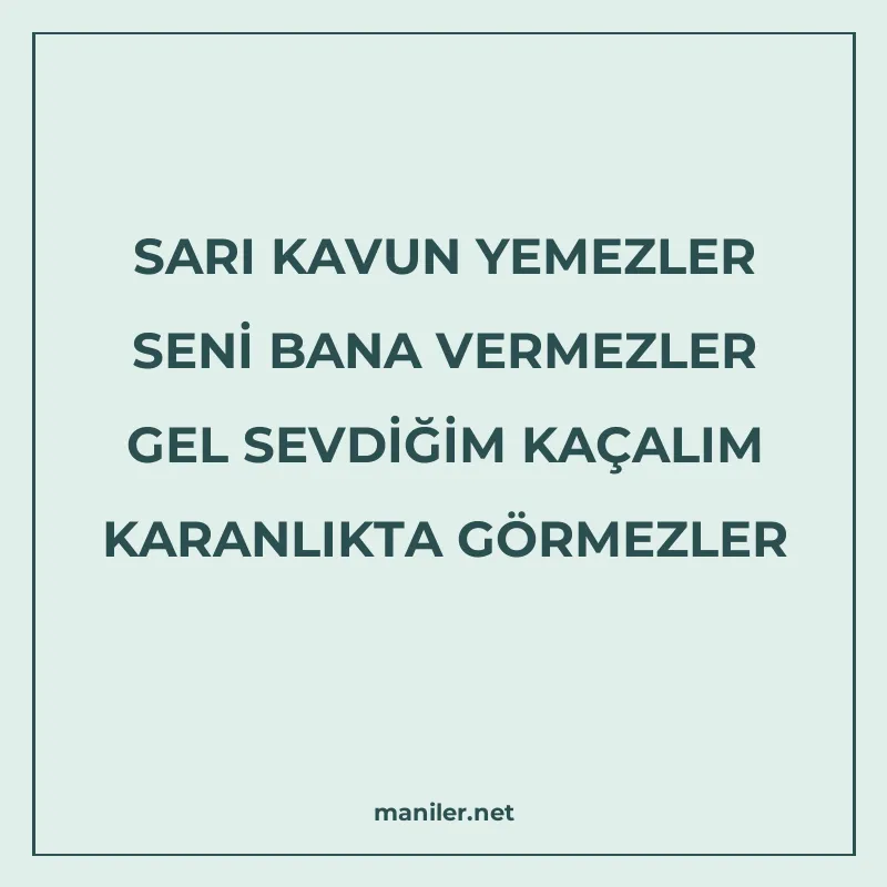 SARI KAVUN YEMEZLER SENİ BANA VERMEZLER GEL SEVDİĞİM KAÇALIM manisi görseli
