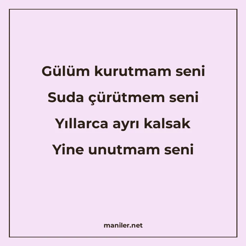 Gülüm kurutmam seni Suda çürütmem seni Yıllarca ayrı kalsak manisi görseli