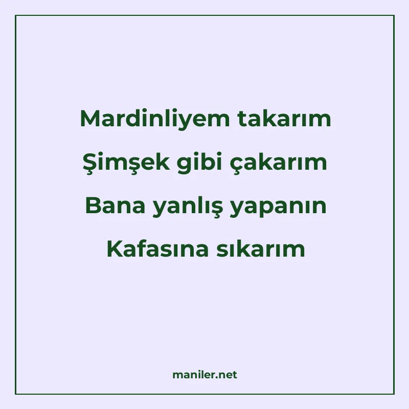 Mardinliyem takarım Şimşek gibi çakarım Bana yanlış yapanın manisi görseli