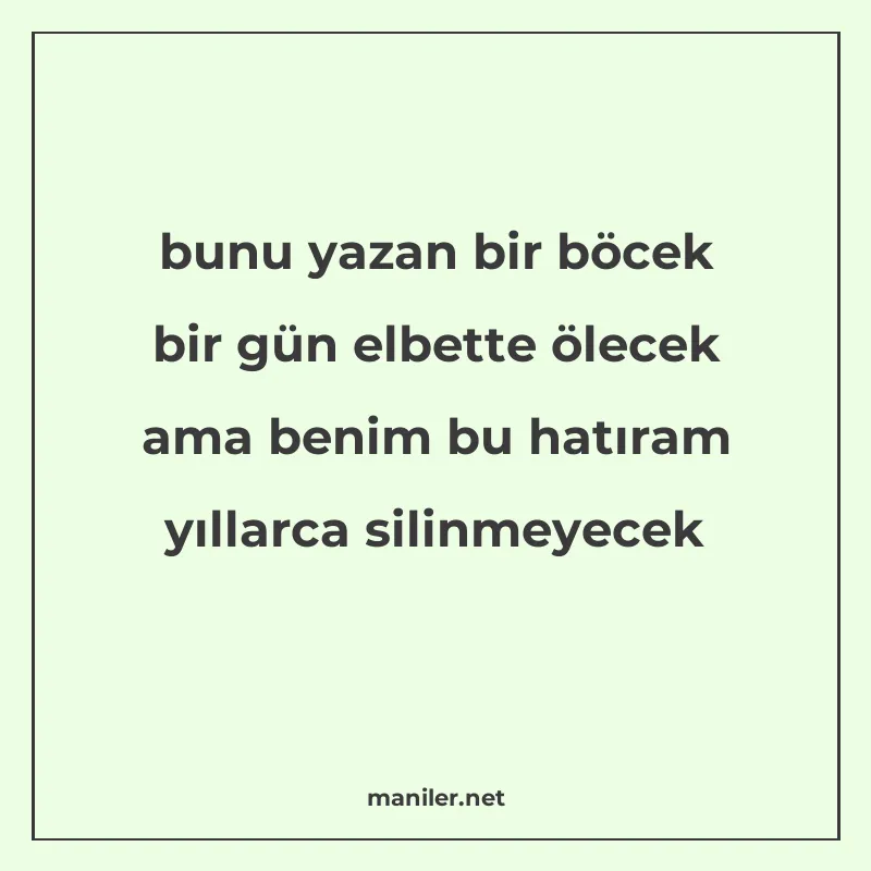 bunu yazan bir böcek bir gün elbette ölecek ama benim bu hat manisi görseli
