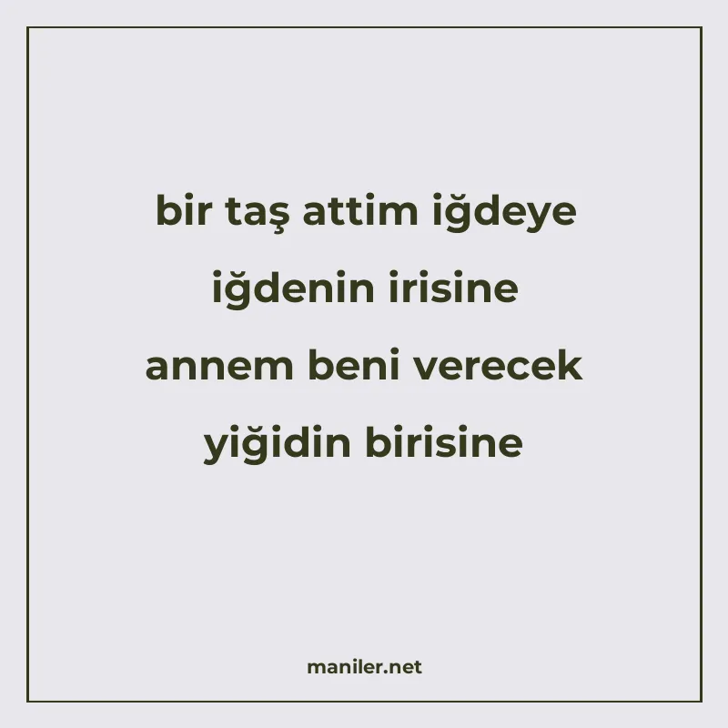 bir taş attim iğdeye iğdenin irisine annem beni verecek yiği manisi görseli