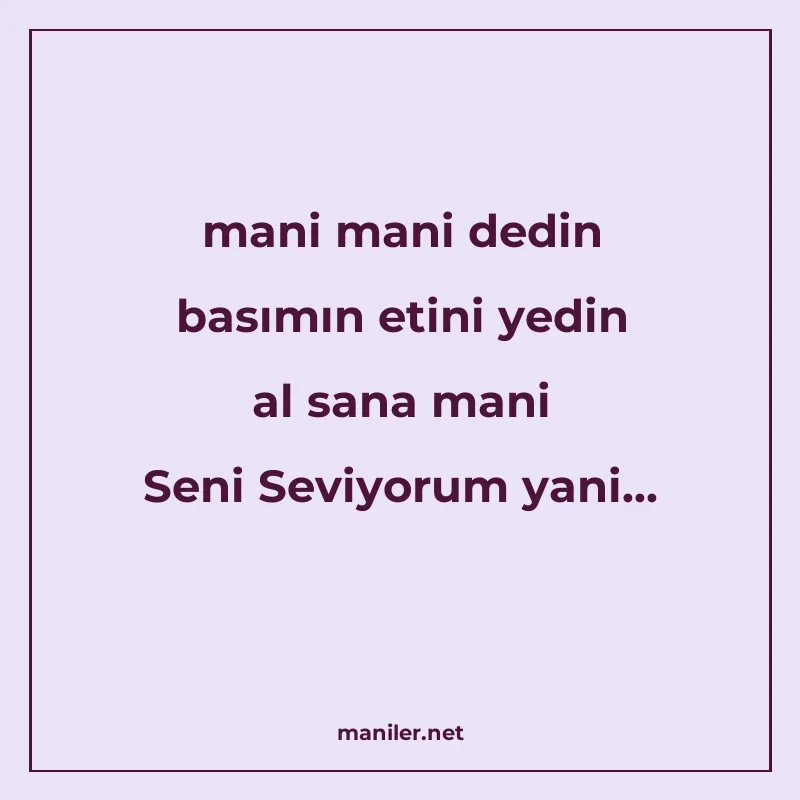 mani mani dedin basımın etini yedin al sana mani Seni Seviyo manisi görseli