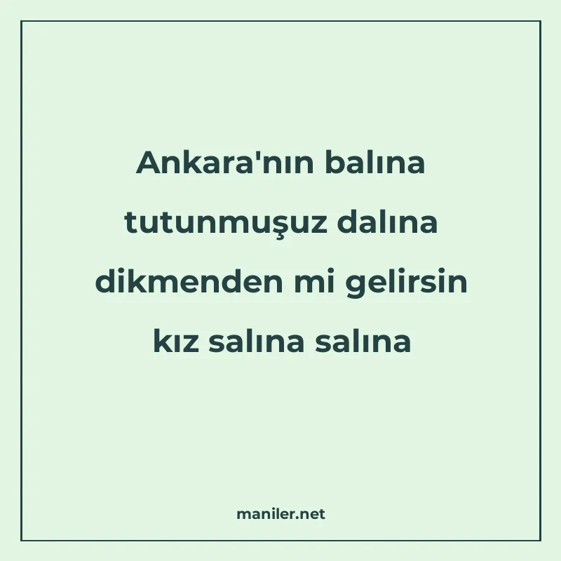 Ankara'nın balına tutunmuşuz dalına dikmenden mi gelirs manisi görseli