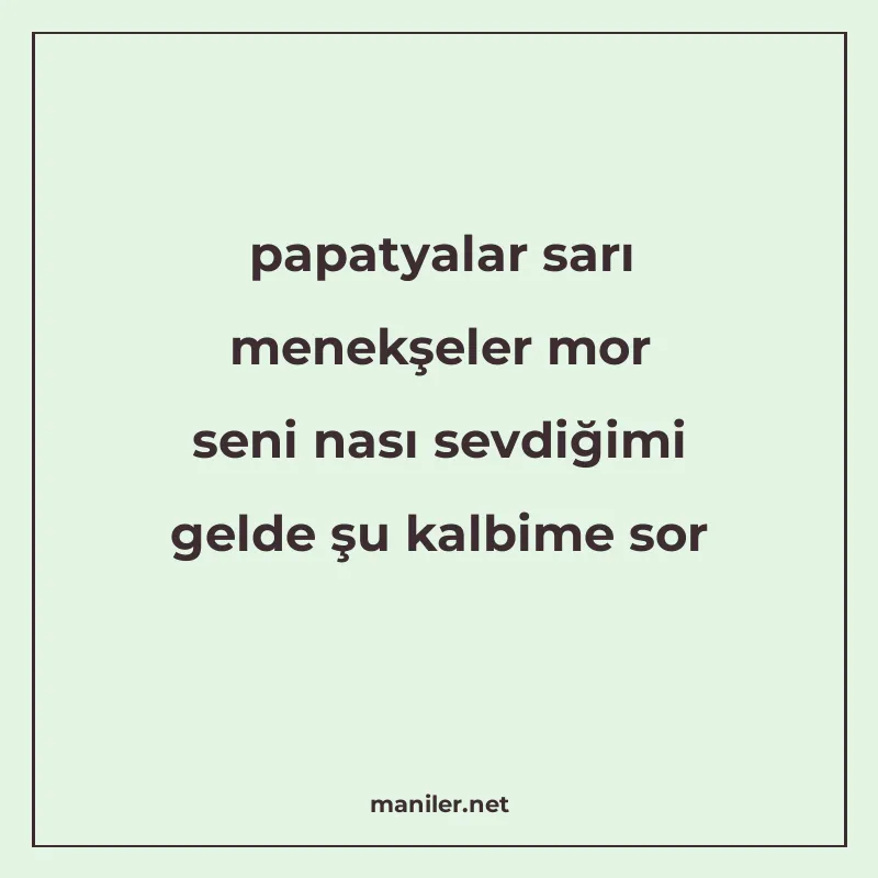 papatyalar sarı menekşeler mor seni nası sevdiğimi gelde şu manisi görseli