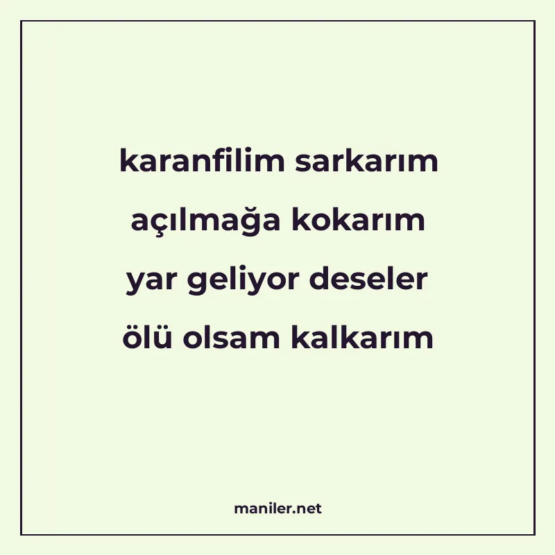 karanfilim sarkarım açılmağa kokarım yar geliyor deseler ölü manisi görseli