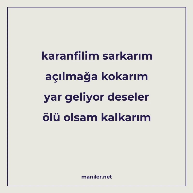 karanfilim sarkarım açılmağa kokarım yar geliyor deseler ölü manisi görseli