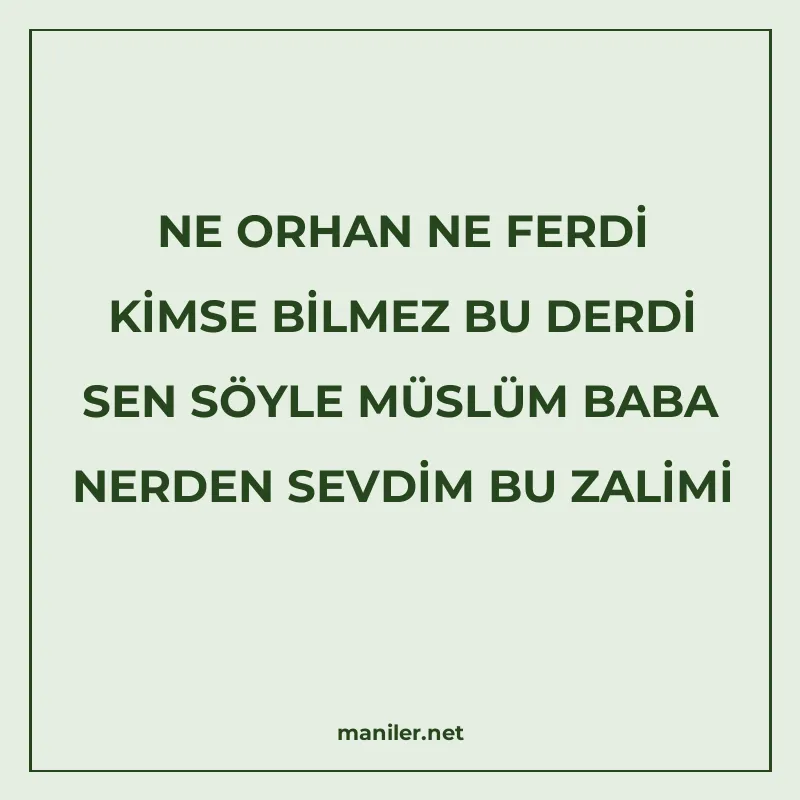 NE ORHAN NE FERDİ KİMSE BİLMEZ BU DERDİ SEN SÖYLE MÜSLÜM BAB manisi görseli