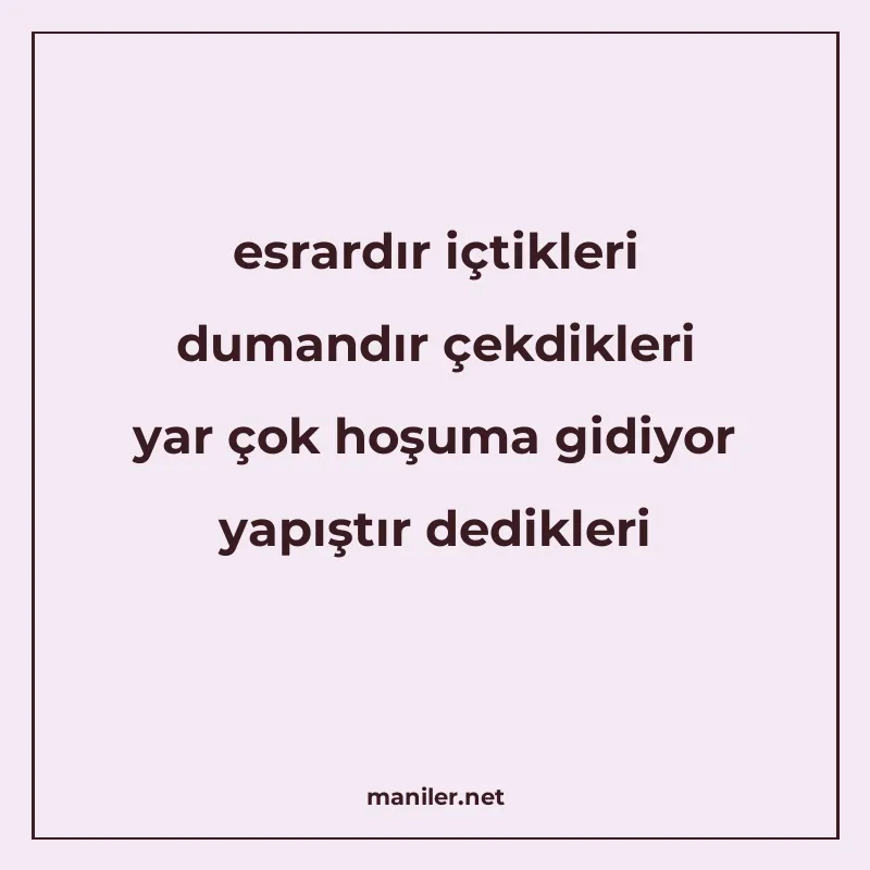 esrardır içtikleri dumandır çekdikleri yar çok hoşuma gidiyo manisi görseli