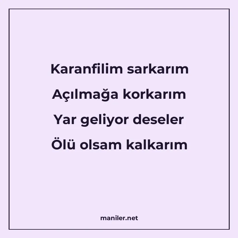 Karanfilim sarkarım Açılmağa korkarım Yar geliyor deseler Öl