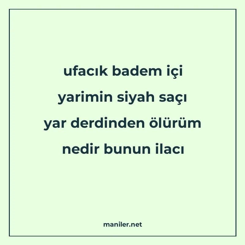 ufacık badem içi yarimin siyah saçı yar derdinden ölürüm ned manisi görseli