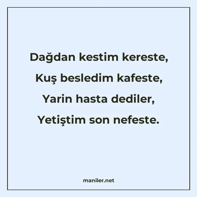 Dağdan kestim kereste, Kuş besledim kafeste, Yarin hasta ded manisi görseli