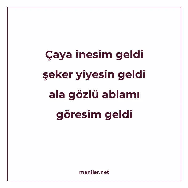 Çaya inesim geldi şeker yiyesin geldi ala gözlü ablamı göres manisi görseli