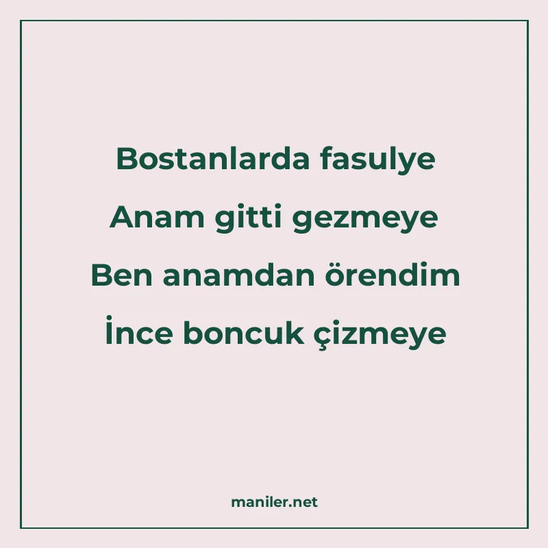 Bostanlarda fasulye Anam gitti gezmeye Ben anamdan örendim İ manisi görseli