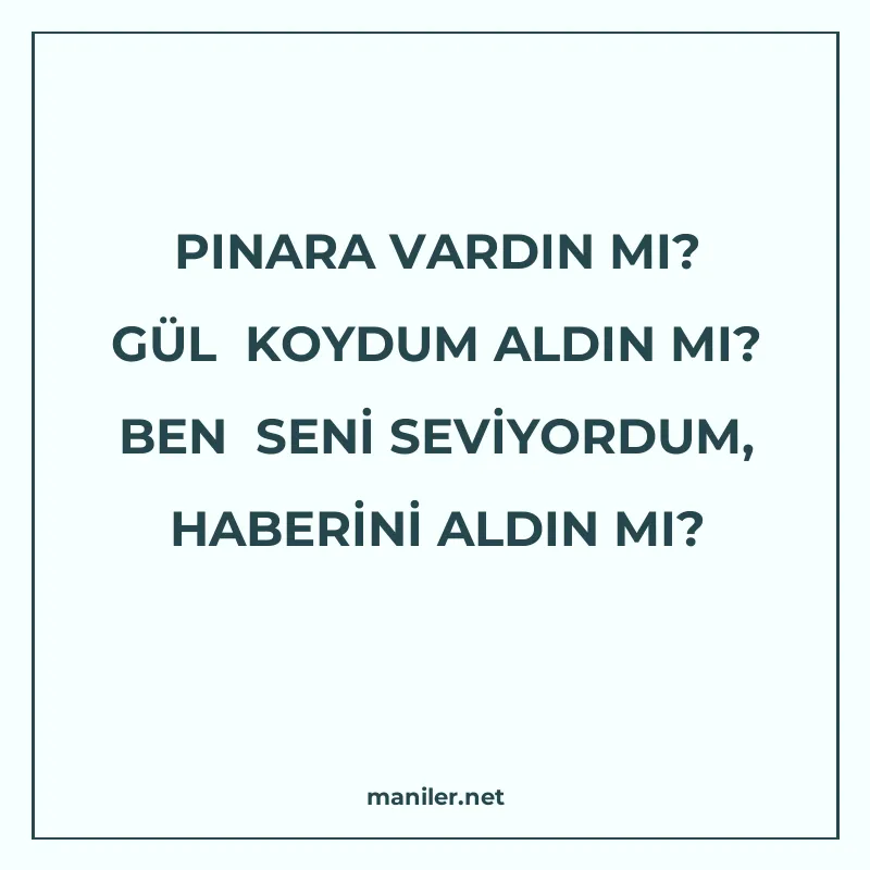 PINARA VARDIN MI? GÜL KOYDUM ALDIN MI? BEN SENİ SEVİYORDUM manisi görseli