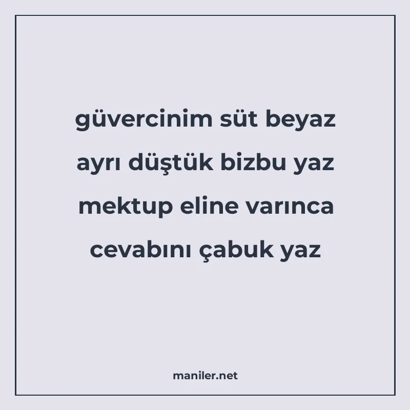 güvercinim süt beyaz ayrı düştük bizbu yaz mektup eline varı manisi görseli