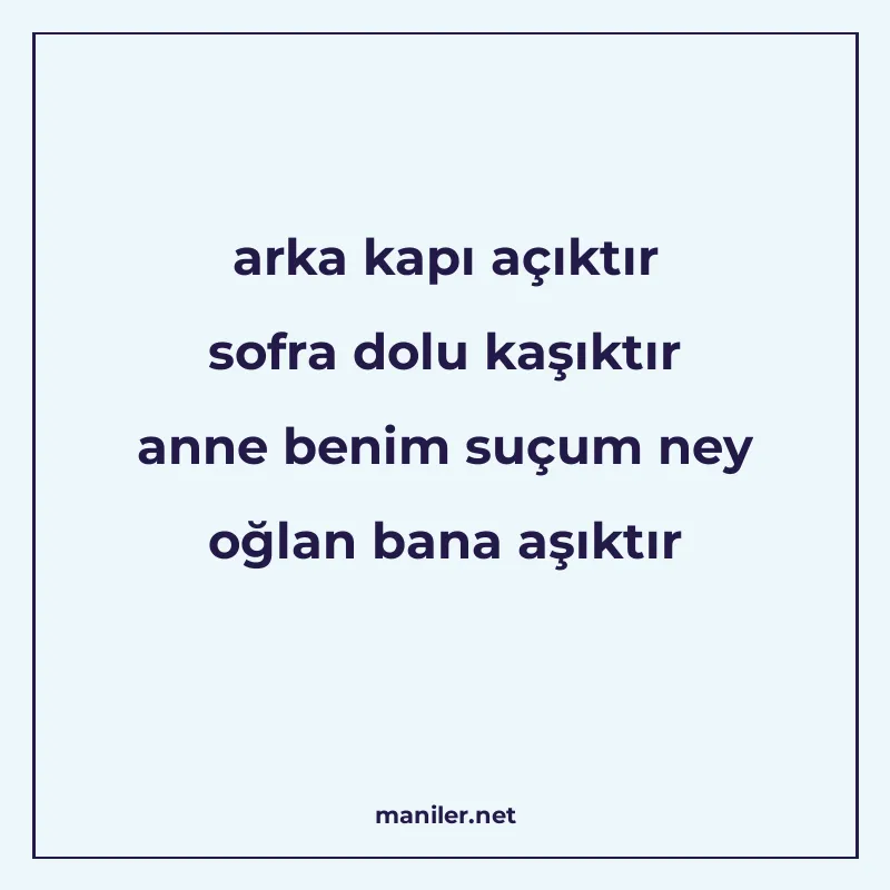 arka kapı açıktır sofra dolu kaşıktır anne benim suçum ney o manisi görseli