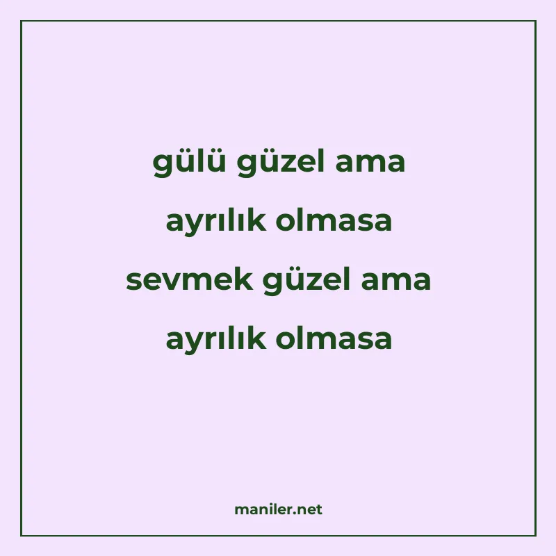 gülü güzel ama ayrılık olmasa sevmek güzel ama ayrılık olmas manisi görseli