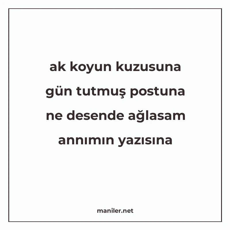 ak koyun kuzusuna gün tutmuş postuna ne desende ağlasam annı manisi görseli