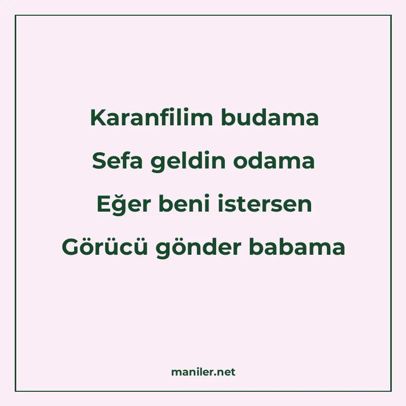 Karanfilim budama Sefa geldin odama Eğer beni istersen Görüc manisi görseli