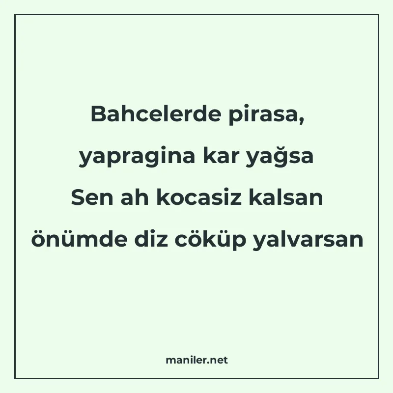 Bahcelerde pirasa, yapragina kar yağsa Sen ah kocasiz kalsan manisi görseli