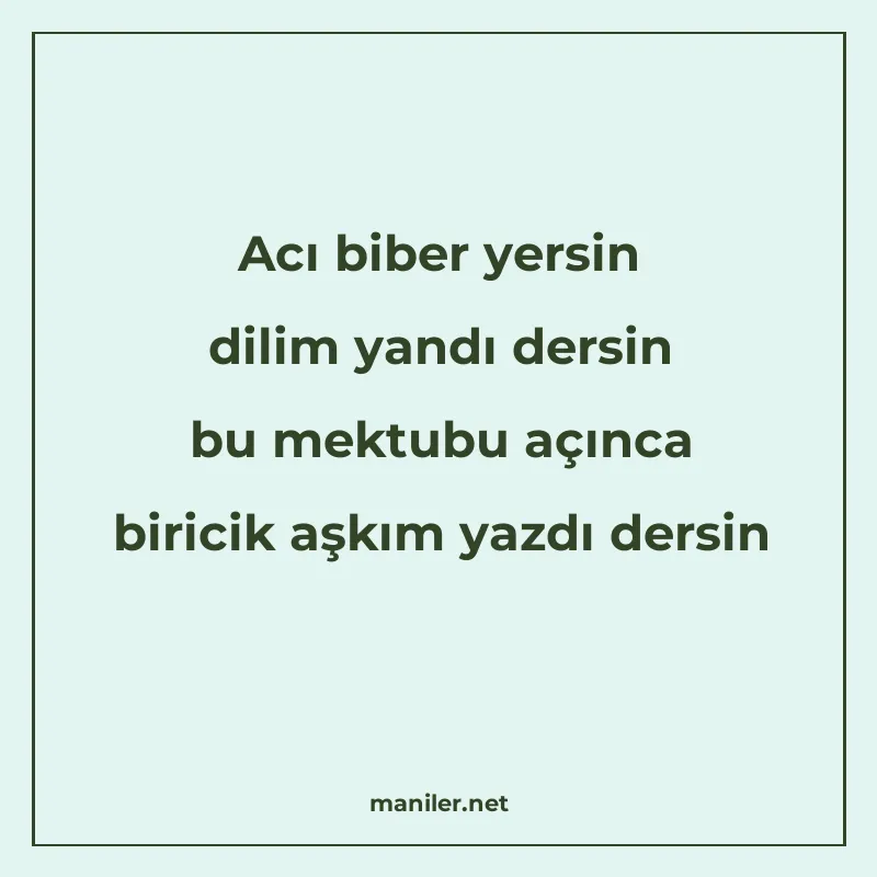 Acı biber yersin dilim yandı dersin bu mektubu açınca birici manisi görseli