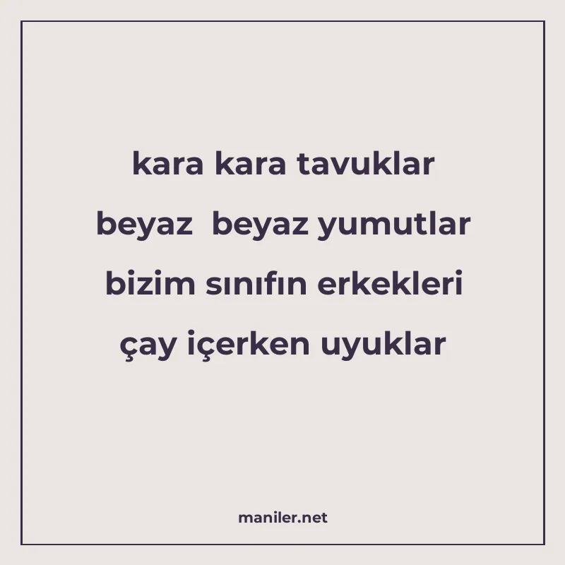 kara kara tavuklar beyaz beyaz yumutlar bizim sınıfın erkekl manisi görseli