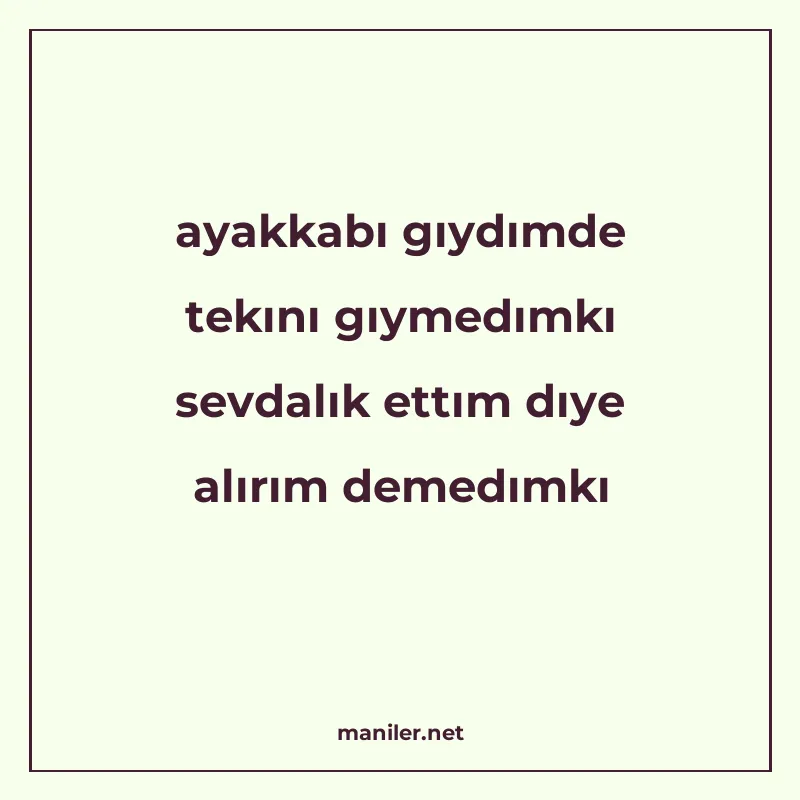 ayakkabı gıydımde tekını gıymedımkı sevdalık ettım dıye alır manisi görseli