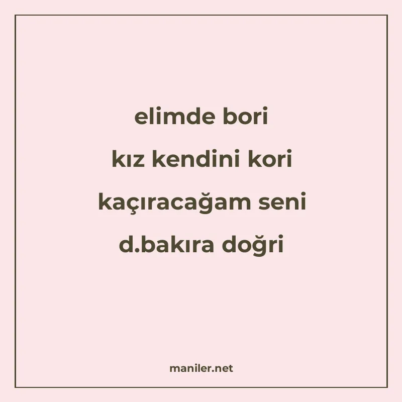 elimde bori kız kendini kori kaçıracağam seni d.bakıra doğri manisi görseli