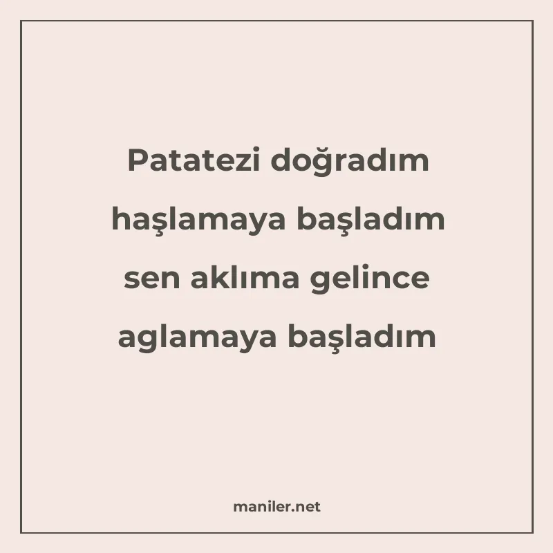 Patatezi doğradım haşlamaya başladım sen aklıma gelince agla manisi görseli