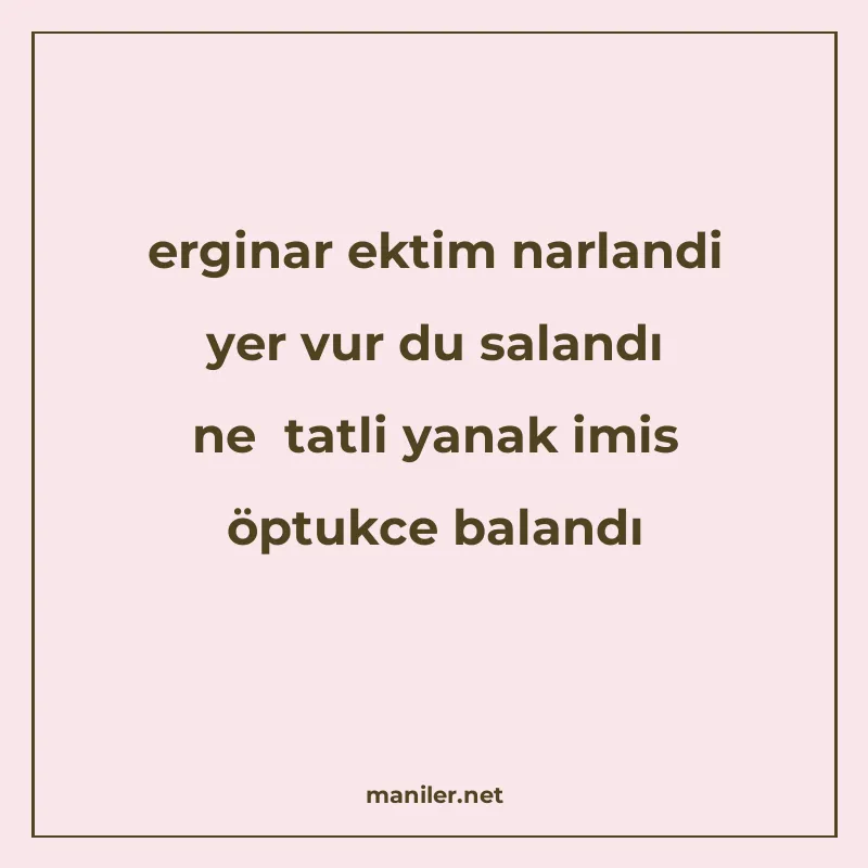 erginar ektim narlandi yer vur du salandı ne tatli yanak imi manisi görseli