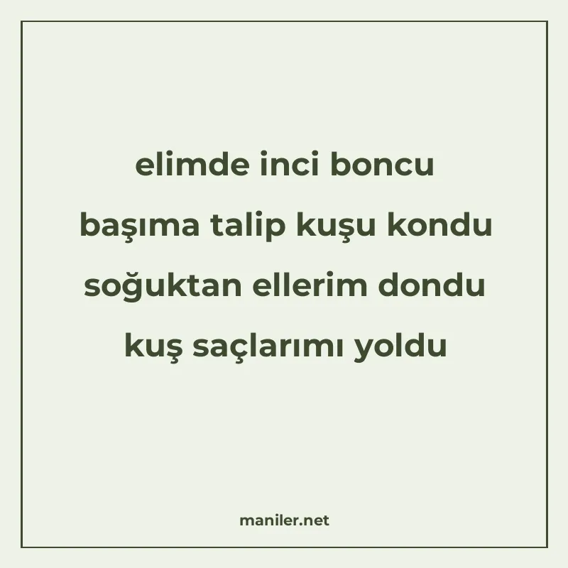 elimde inci boncu başıma talip kuşu kondu soğuktan ellerim d manisi görseli