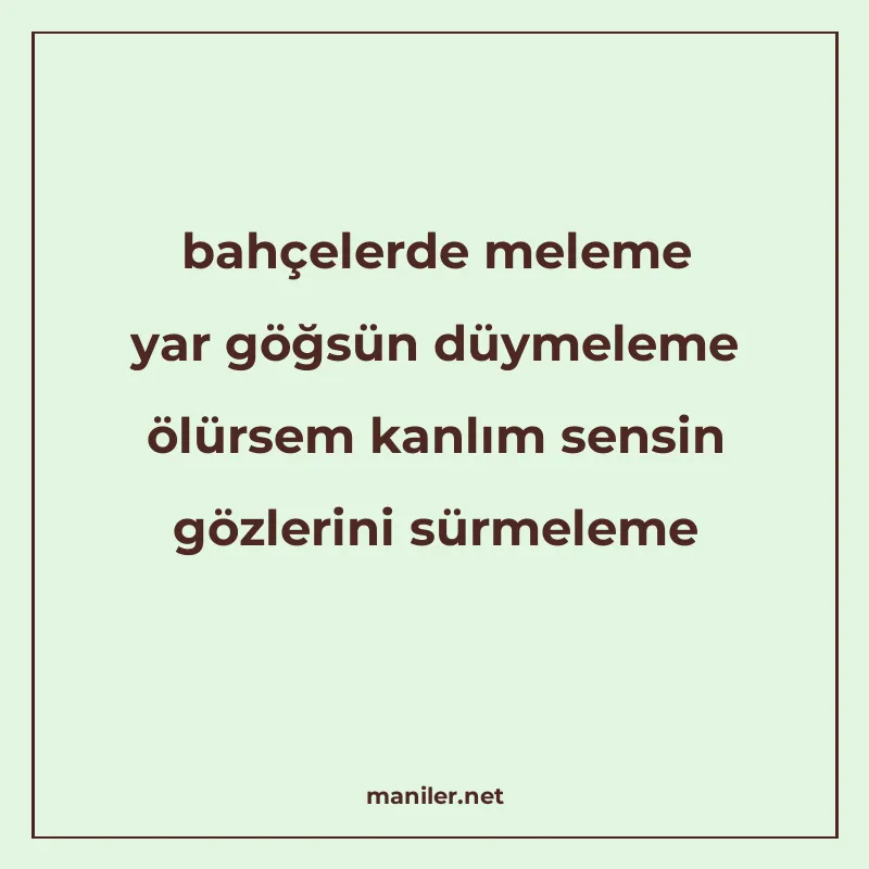 bahçelerde meleme yar göğsün düymeleme ölürsem kanlım sensin manisi görseli
