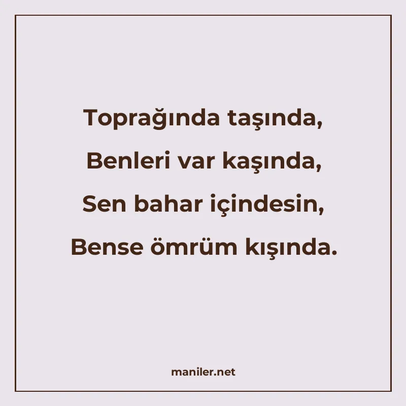 Toprağında taşında, Benleri var kaşında, Sen bahar içindesin manisi görseli