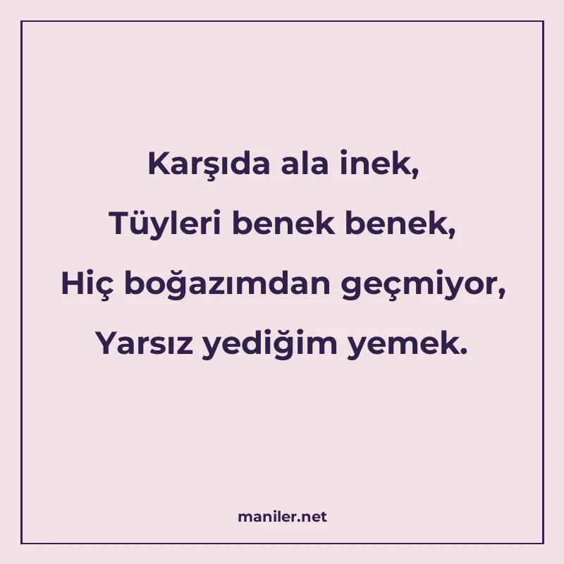 Karşıda ala inek, Tüyleri benek benek, Hiç boğazımdan geçmiy manisi görseli