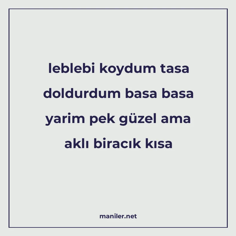 leblebi koydum tasa doldurdum basa basa yarim pek güzel ama manisi görseli