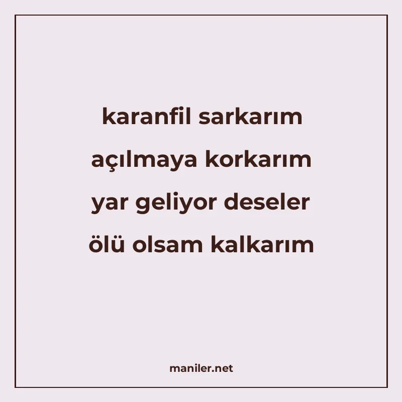 karanfil sarkarım açılmaya korkarım yar geliyor deseler ölü manisi görseli