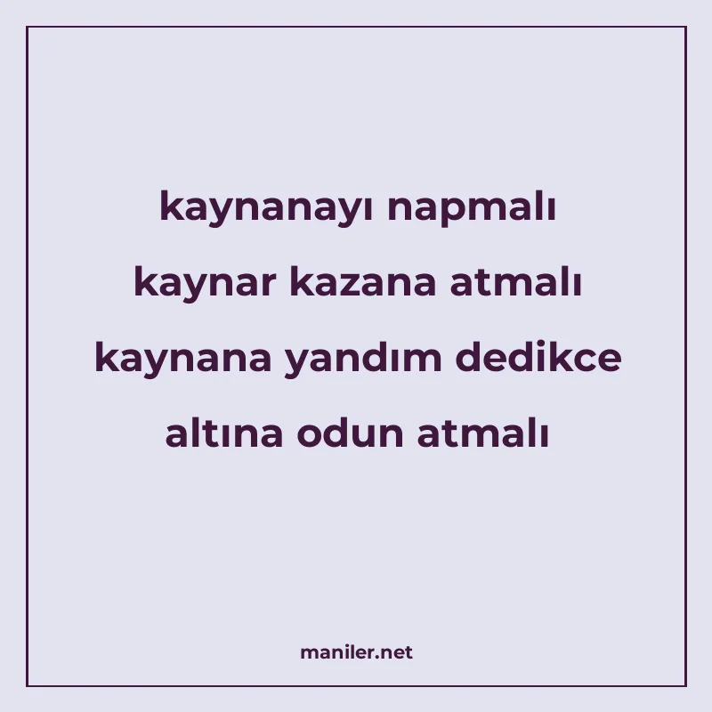 kaynanayı napmalı kaynar kazana atmalı kaynana yandım dedikc manisi görseli