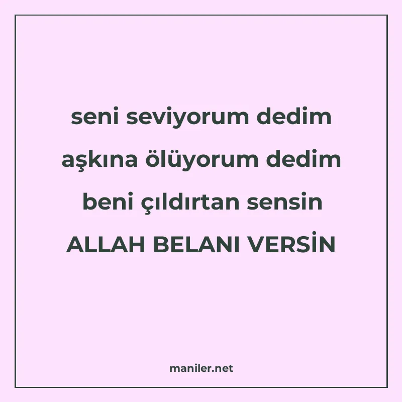 seni seviyorum dedim aşkına ölüyorum dedim beni çıldırtan se manisi görseli