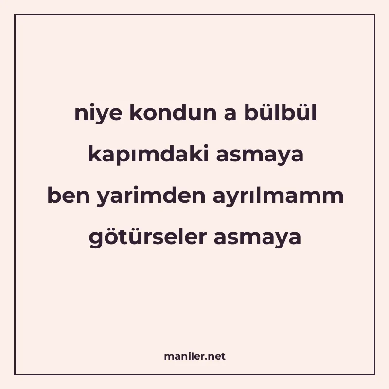 niye kondun a bülbül kapımdaki asmaya ben yarimden ayrılmamm manisi görseli