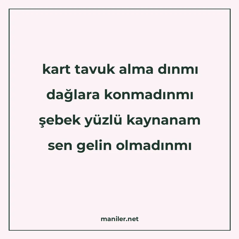 kart tavuk alma dınmı dağlara konmadınmı şebek yüzlü kaynana manisi görseli