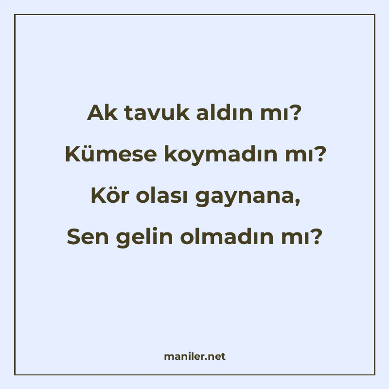 Ak tavuk aldın mı? Kümese koymadın mı? Kör olası gaynana, Se manisi görseli