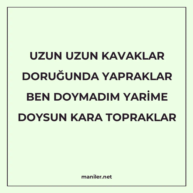 UZUN UZUN KAVAKLAR DORUĞUNDA YAPRAKLAR BEN DOYMADIM YARİME D manisi görseli