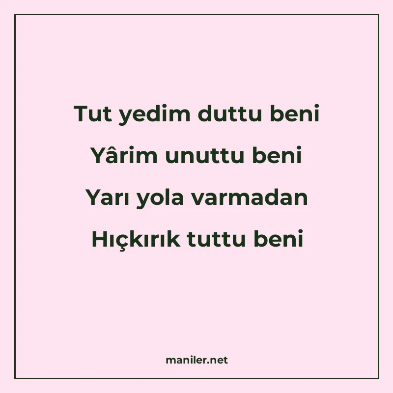 Tut yedim duttu beni Yârim unuttu beni Yarı yola varmadan Hı manisi görseli