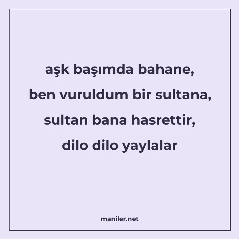 aşk başımda bahane, ben vuruldum bir sultana, sultan bana ha manisi görseli
